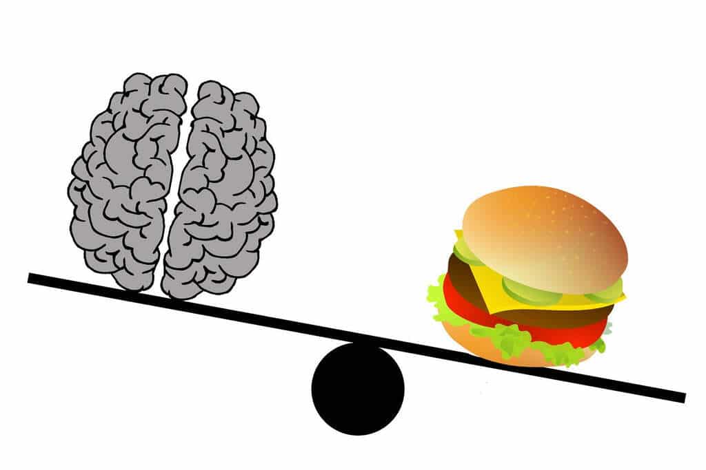 Effets fast-food sur le cerveau