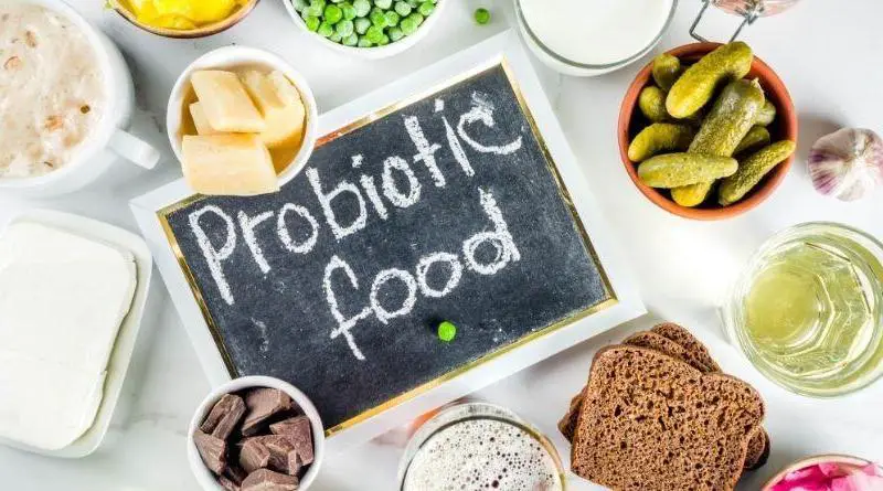 Probiotiques quels sont leurs bienfaits