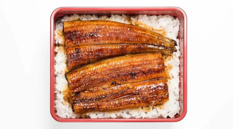 anguille laquée avec du riz