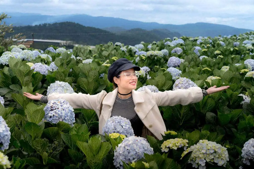 Femme heureuse dans un champ d'hortensia