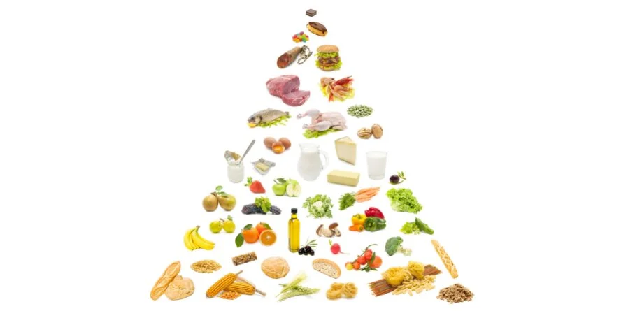 Comprendre la pyramide alimentaire