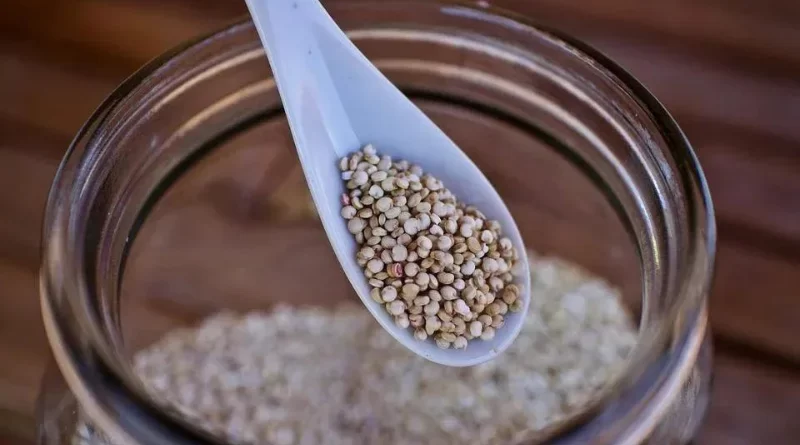 Cuillère de quinoa
