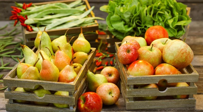 fruits et legumes de saison