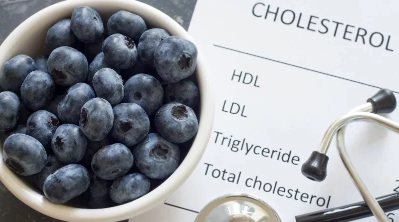 Bol de myrtille avec inscription sur une feuille "Cholesterol hdl et LDL"