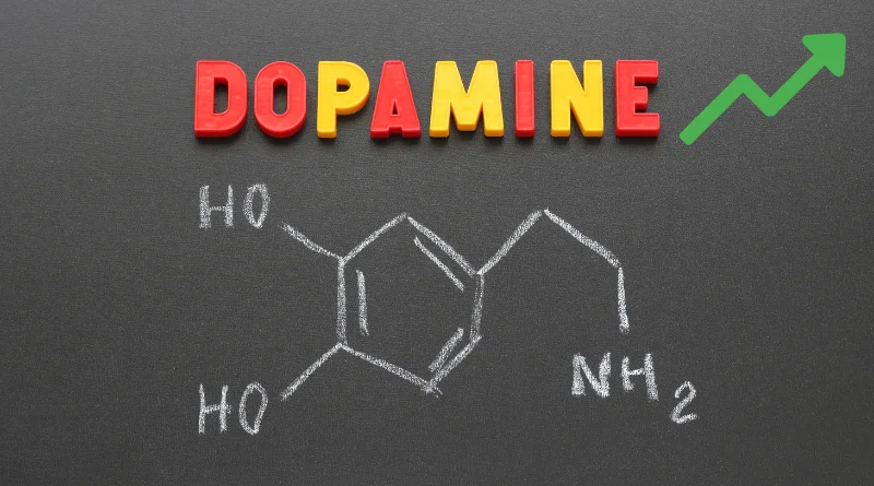 augmentation dopamine