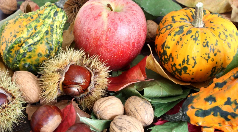 Des fruits et légumes de novembre