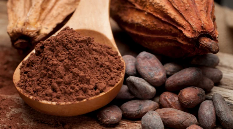 cacao bienfaits